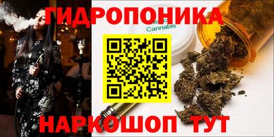 прущие грибы Кулебаки