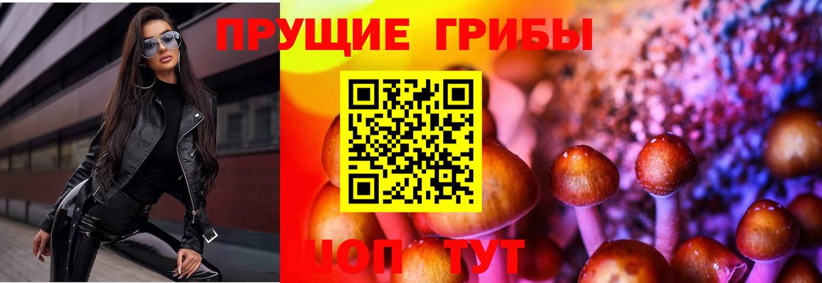 Галлюциногенные грибы мицелий  Вход с VPN  Йошкар-Ола 